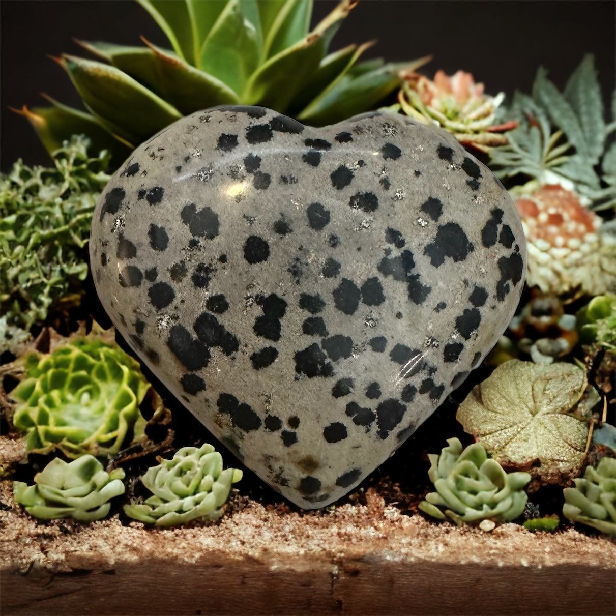 Dalmatian Jasper Heart