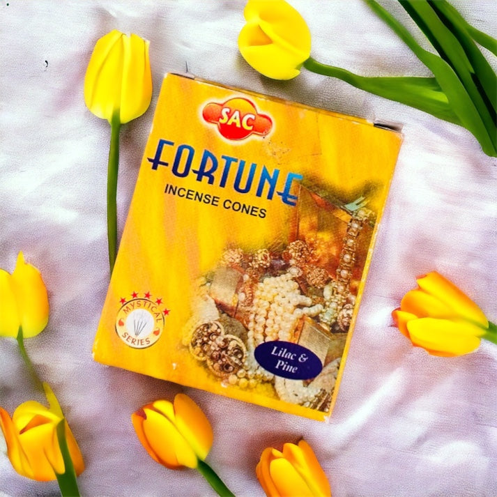 Fortune incense cones