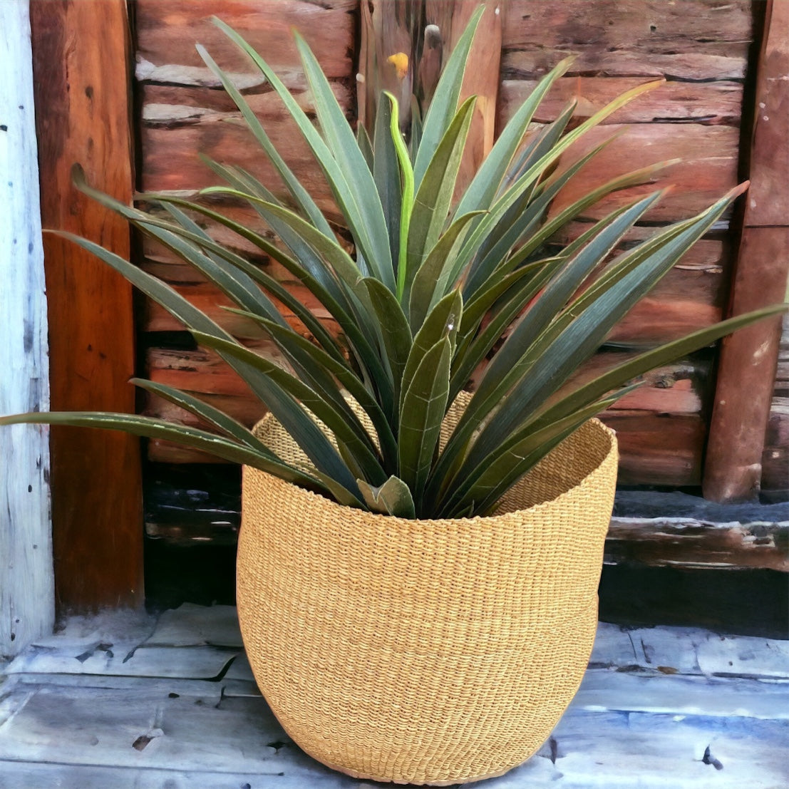African Pot Plant Holder