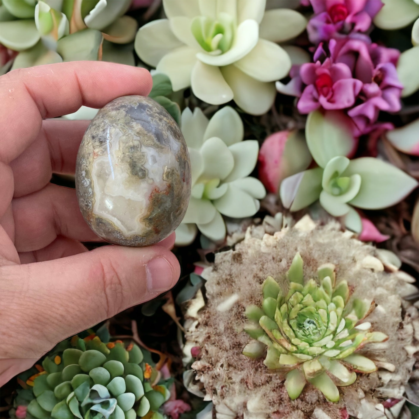 Crazy Lace Agate Egg