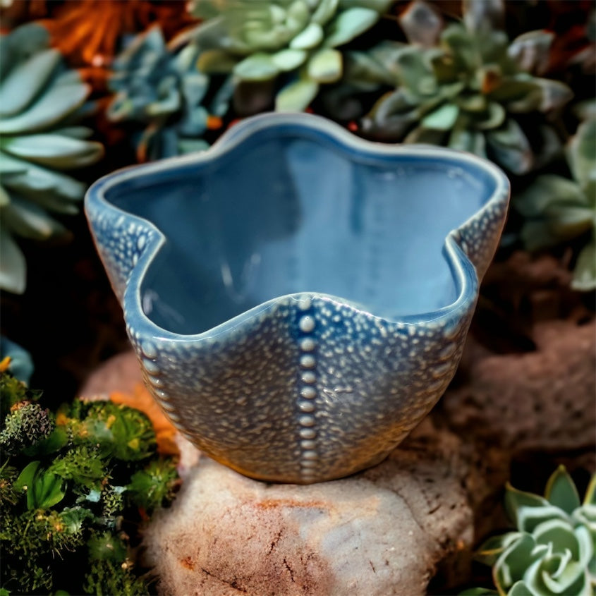 Small Ceramic Starfish Bowl