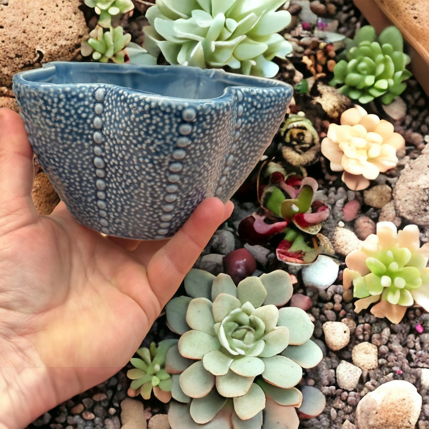 Large Ceramic Starfish Bowl