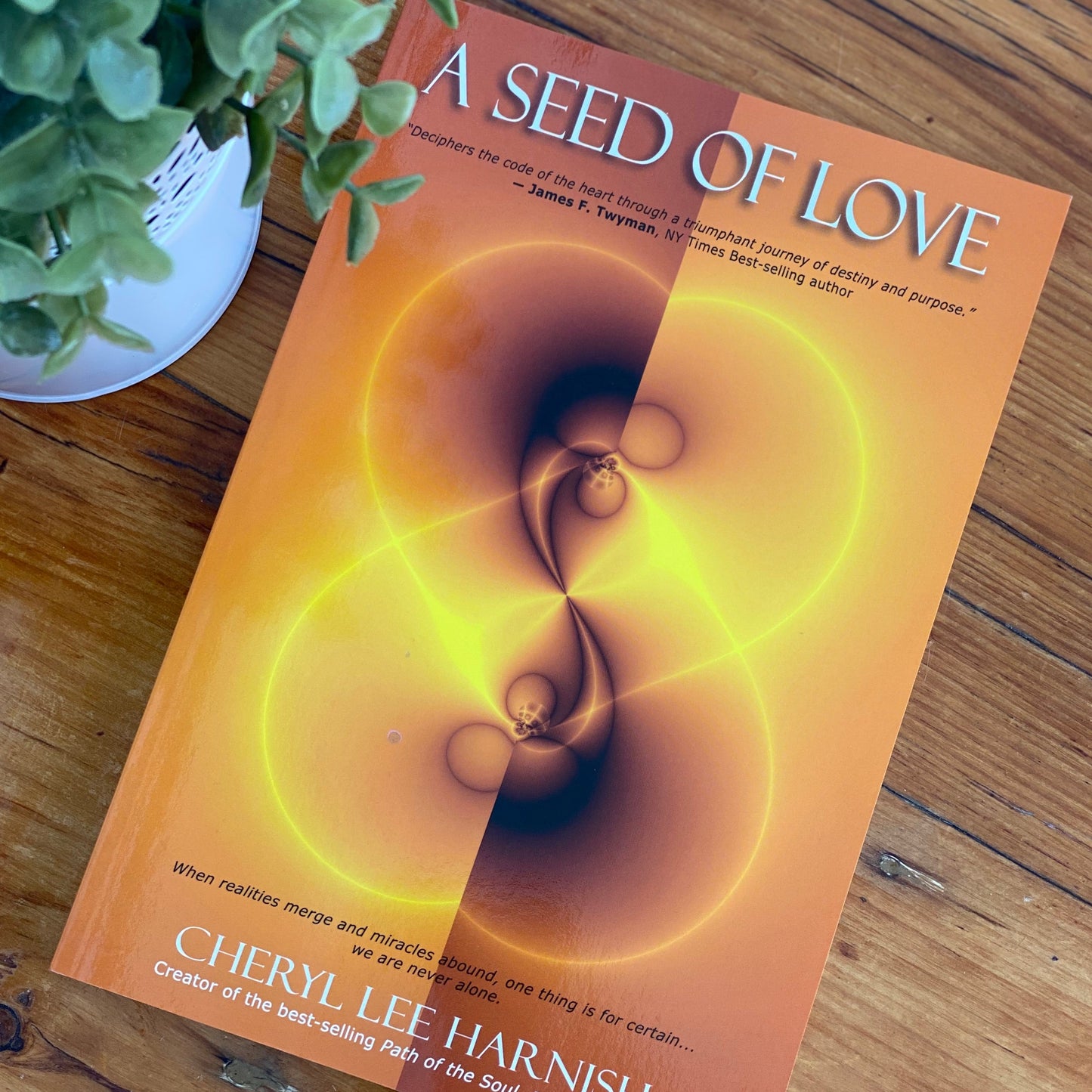 A seed of love